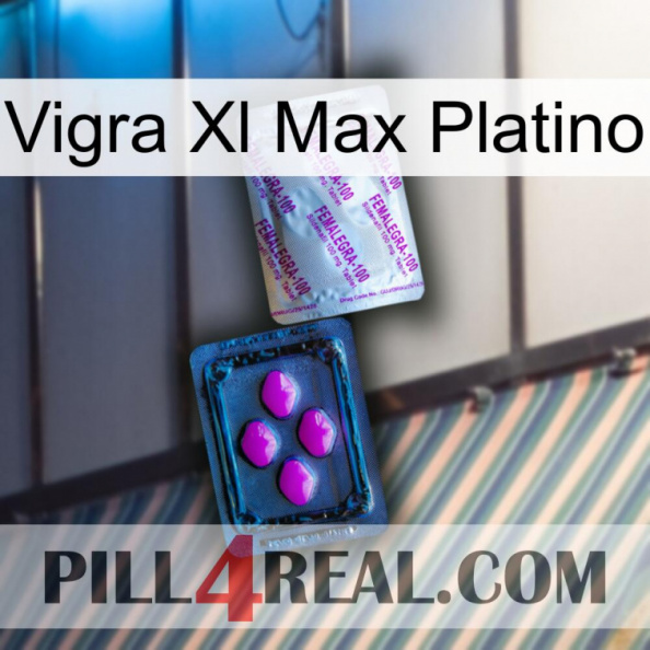 Vigra Xl Max Platinum 37.jpg